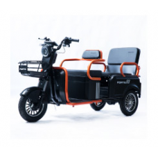 Трицикл акумуляторний Forte CARGO-P800 Чорний